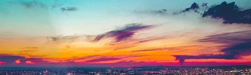 阳春茶虫网_阳春品茶